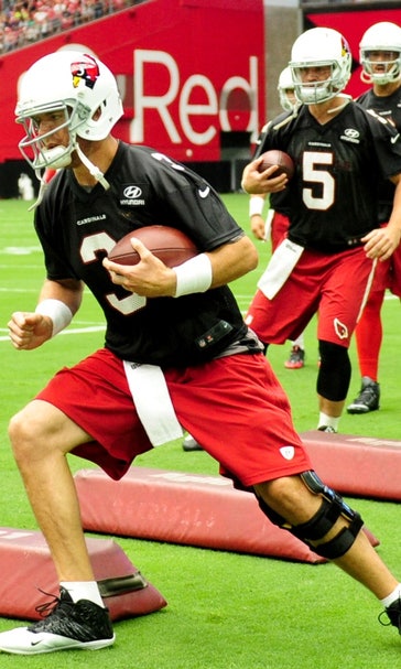 Healthy Carson Palmer says arm strong as ever -- maybe stronger